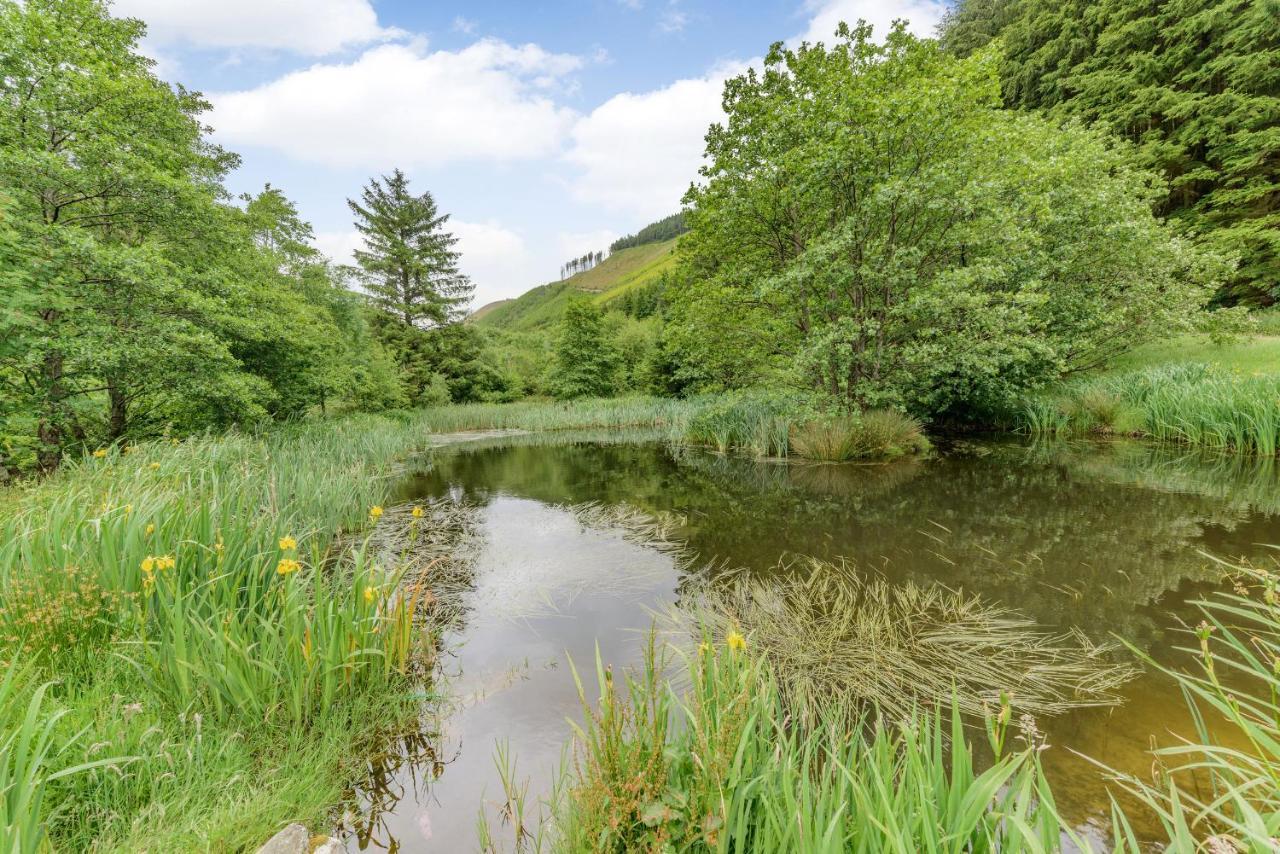 Villa Groes Heol Machynlleth Esterno foto