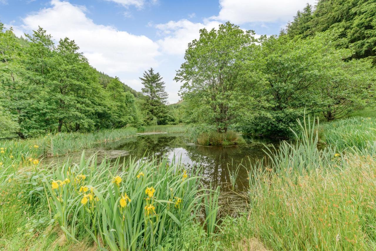 Villa Groes Heol Machynlleth Esterno foto